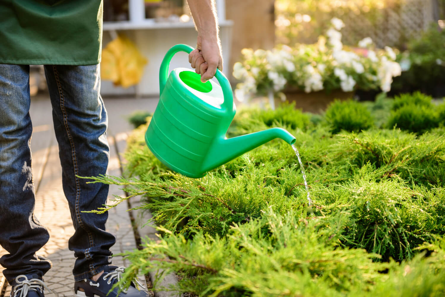 Garden Care Services