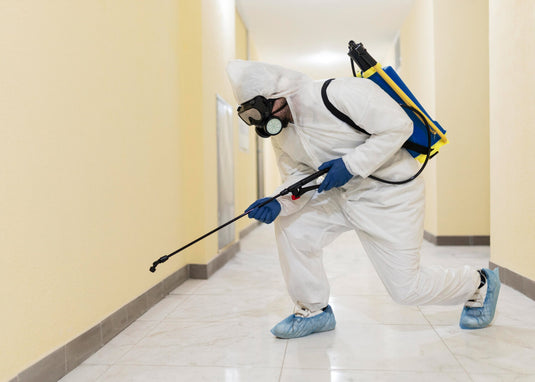 Basic Pest Control Service